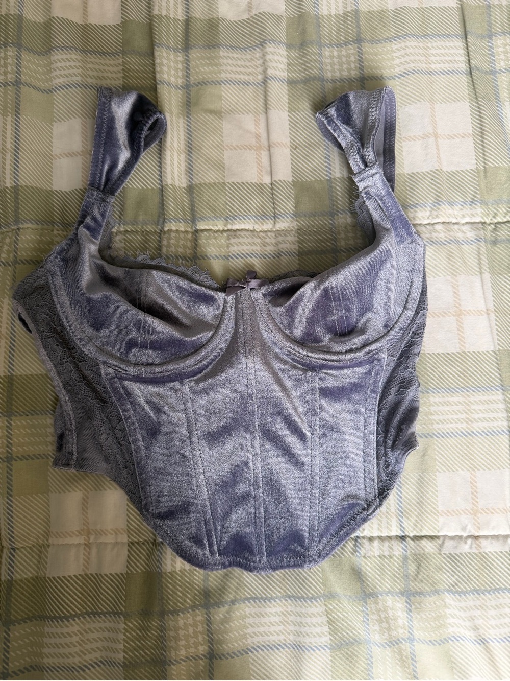 Garage Lavender Gray Velvet Corset Top